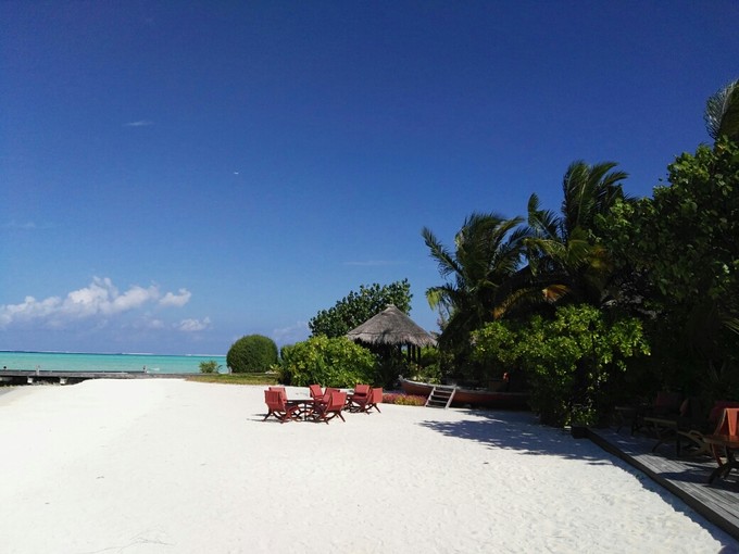 泰姬珍品岛 Taj Exotica Resort